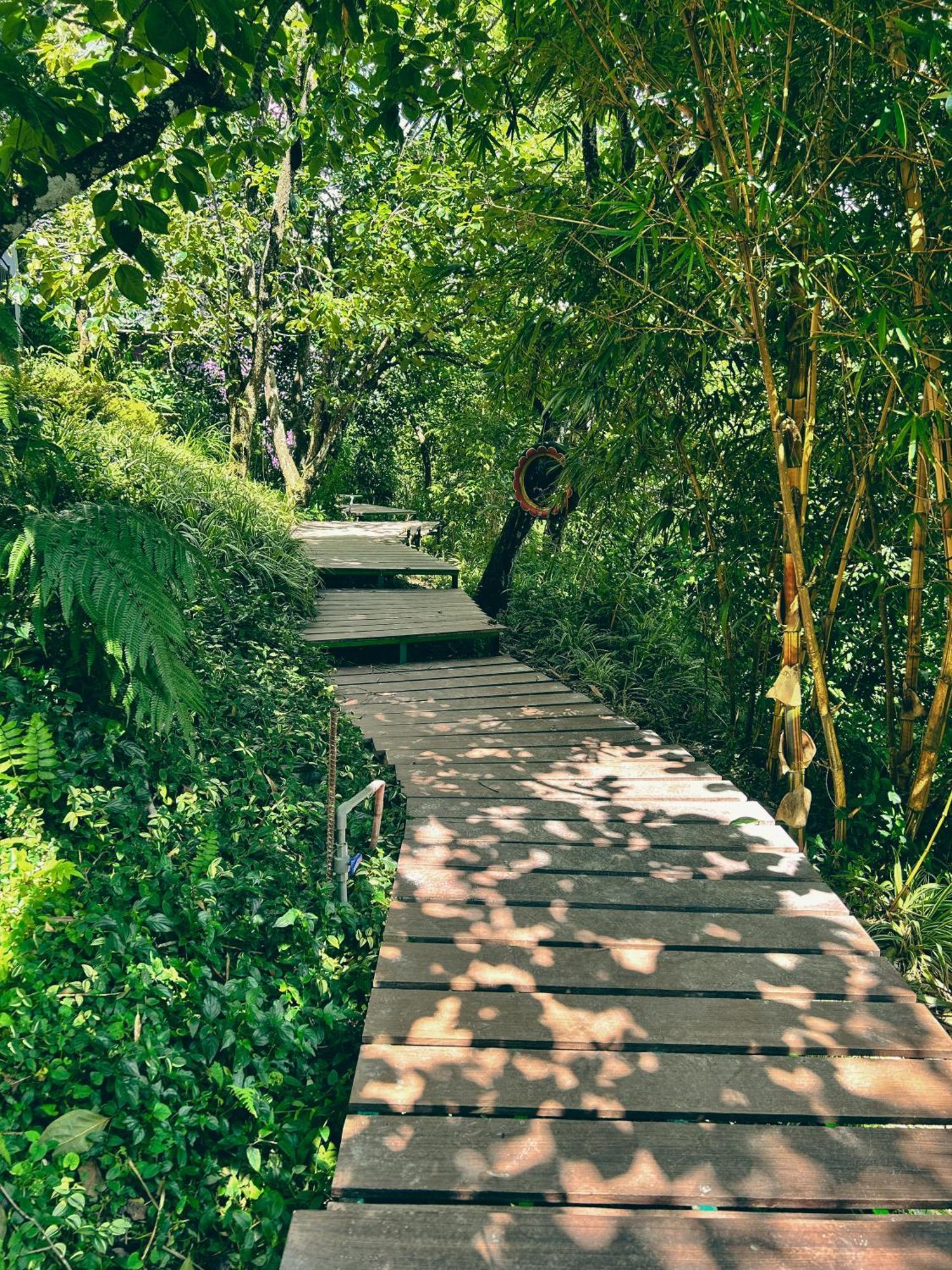 Hong Mon Villa Далат Экстерьер фото
